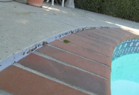 Signs To Know When To Replace Your Concrete Pool Deck Del Mar